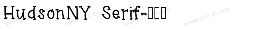 HudsonNY Serif字体转换
